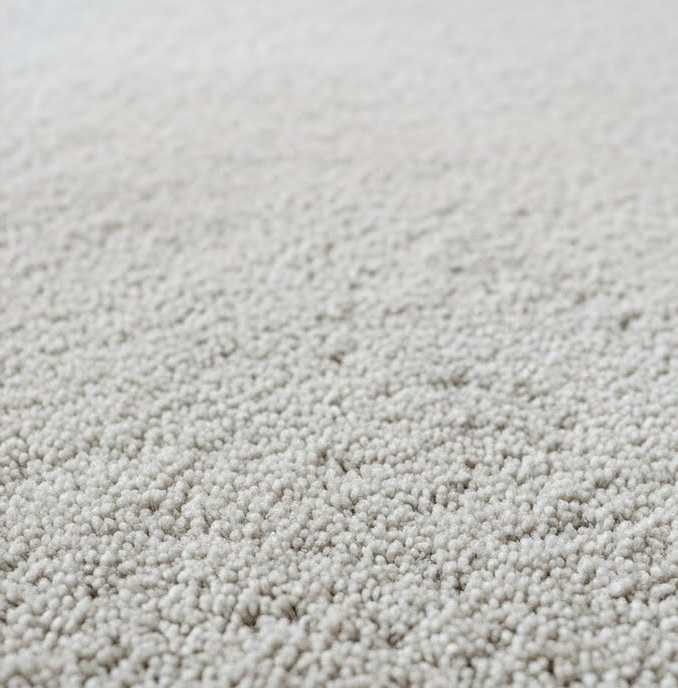 Halı Temizleme Önce